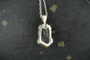 Trilobite Sterling Silver Pendant image 4