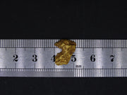 Leadhills Gold Nugget, 2022 - 2.151g image 8