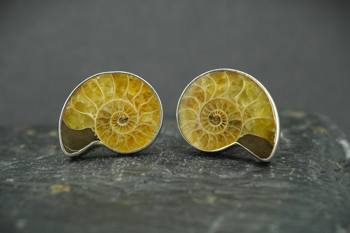 Ammonite Sterling Silver Cufflinks image 0