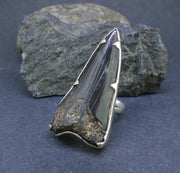 Fossilised Shark Tooth Sterling Silver Ring image 2