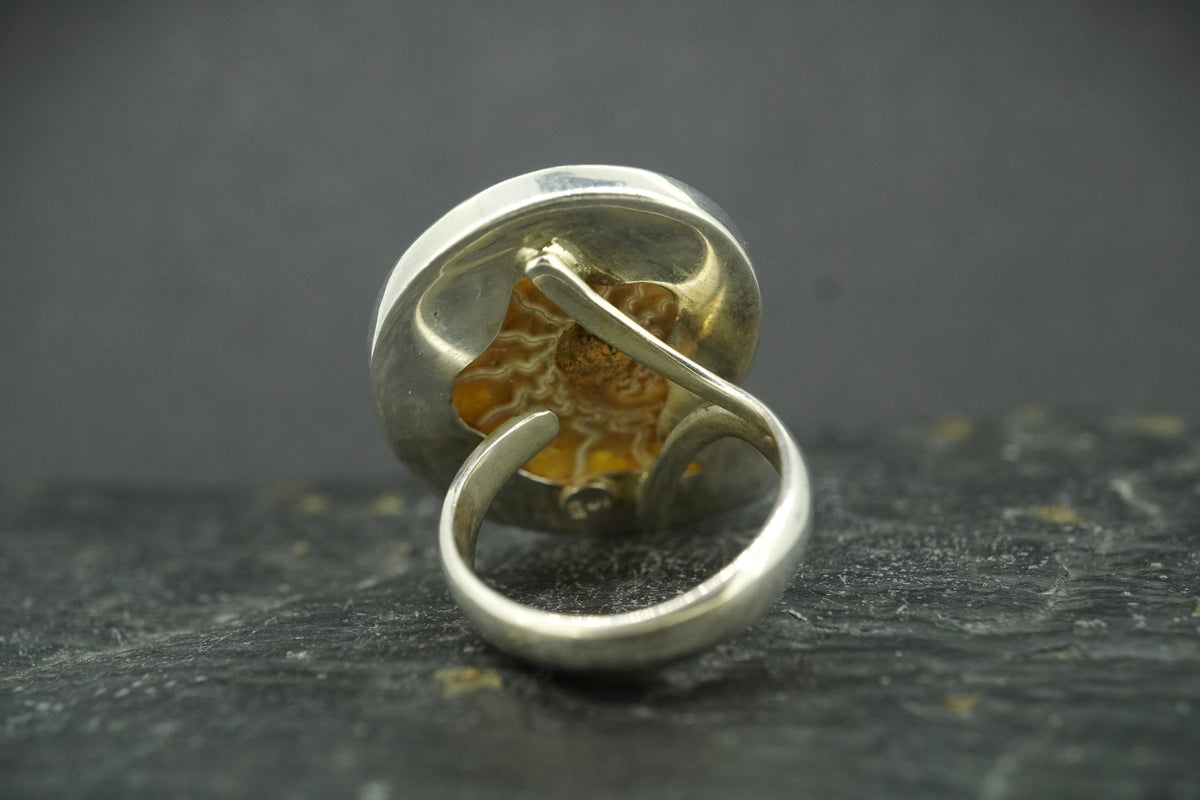 Ammonite Sterling Silver Ring image 4