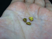 Scottish Highlands Gold Large 'Picker' Nuggets, 2015 - 0.752g image 5