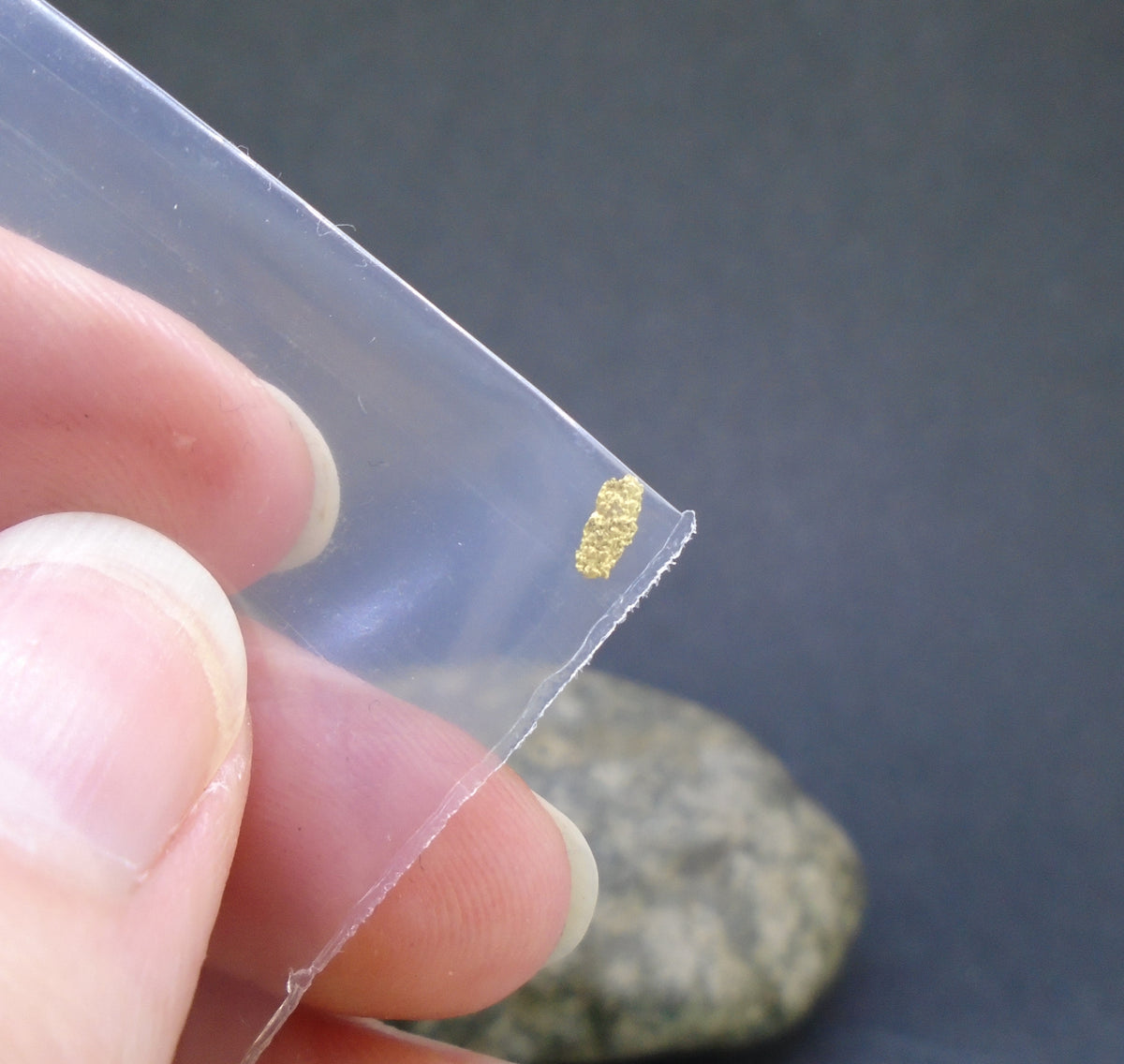 Gold Nugget Gift Pack (M) image 2