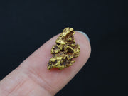 Highlands Scottish Gold Nugget, 2014  -2.033 image 5