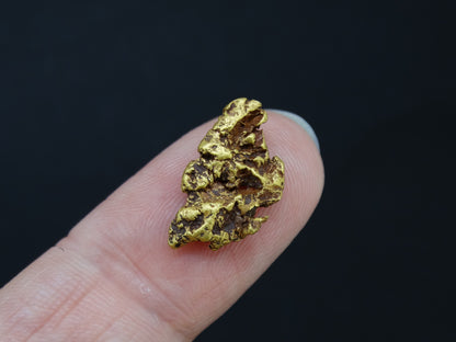 Highlands Scottish Gold Nugget, 2014  -2.033 image 5