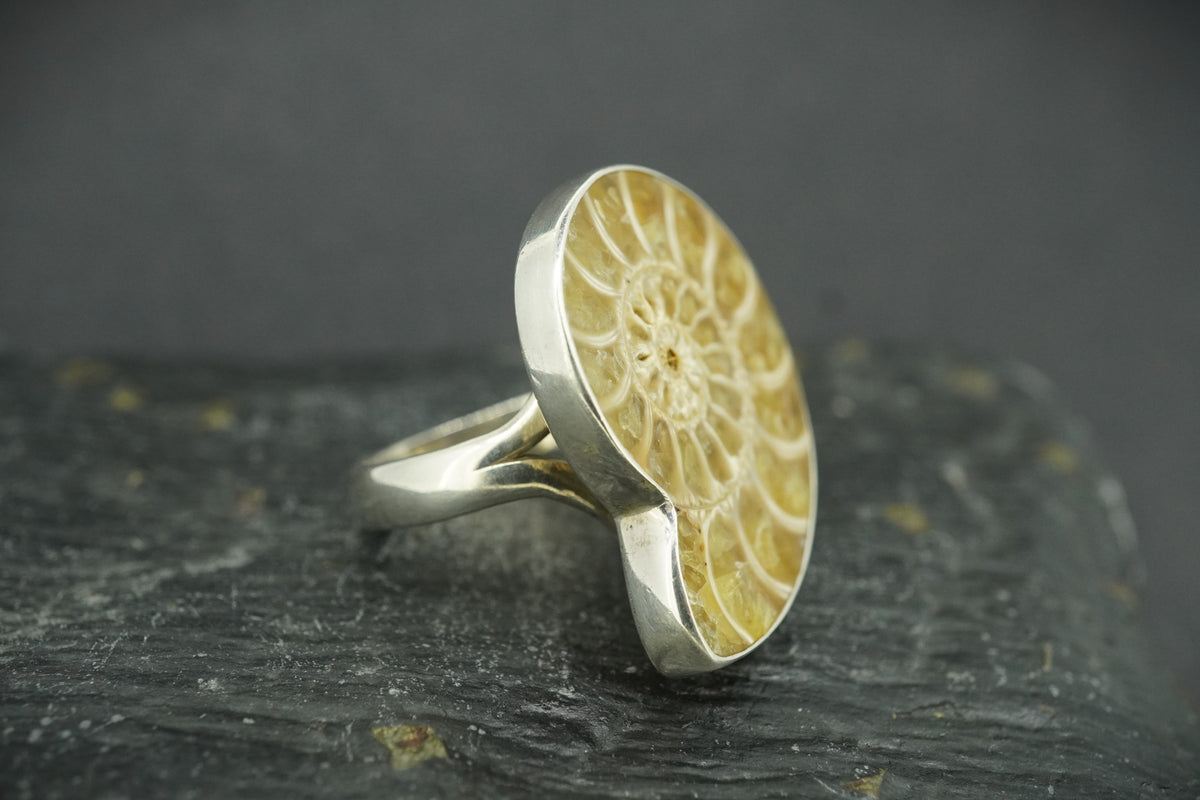 Ammonite Sterling Silver Ring image 2