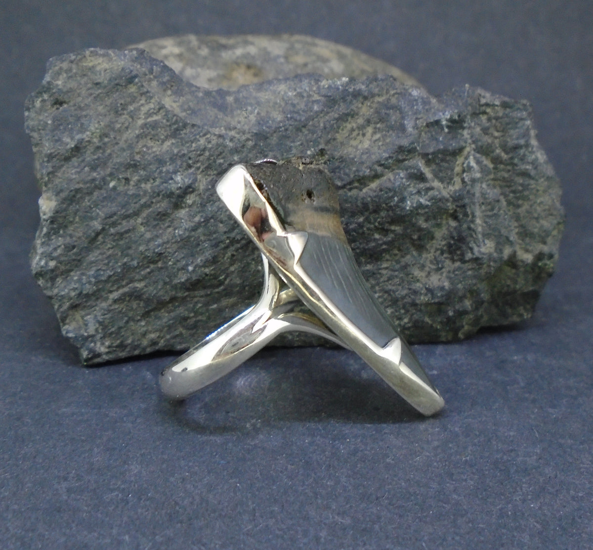 Fossilised Shark Tooth Sterling Silver Ring image 5