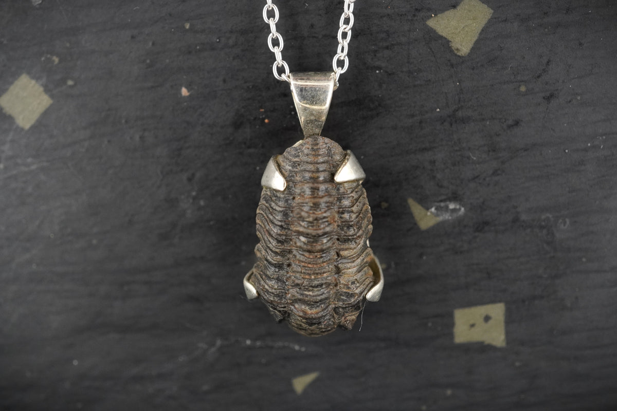Trilobite Sterling Silver Pendant image 0