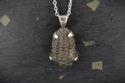 Trilobite Sterling Silver Pendant image 0