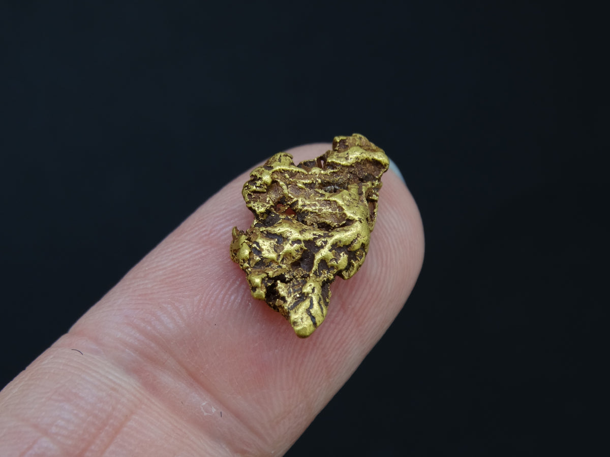 Highlands Scottish Gold Nugget, 2014  -2.033 image 4