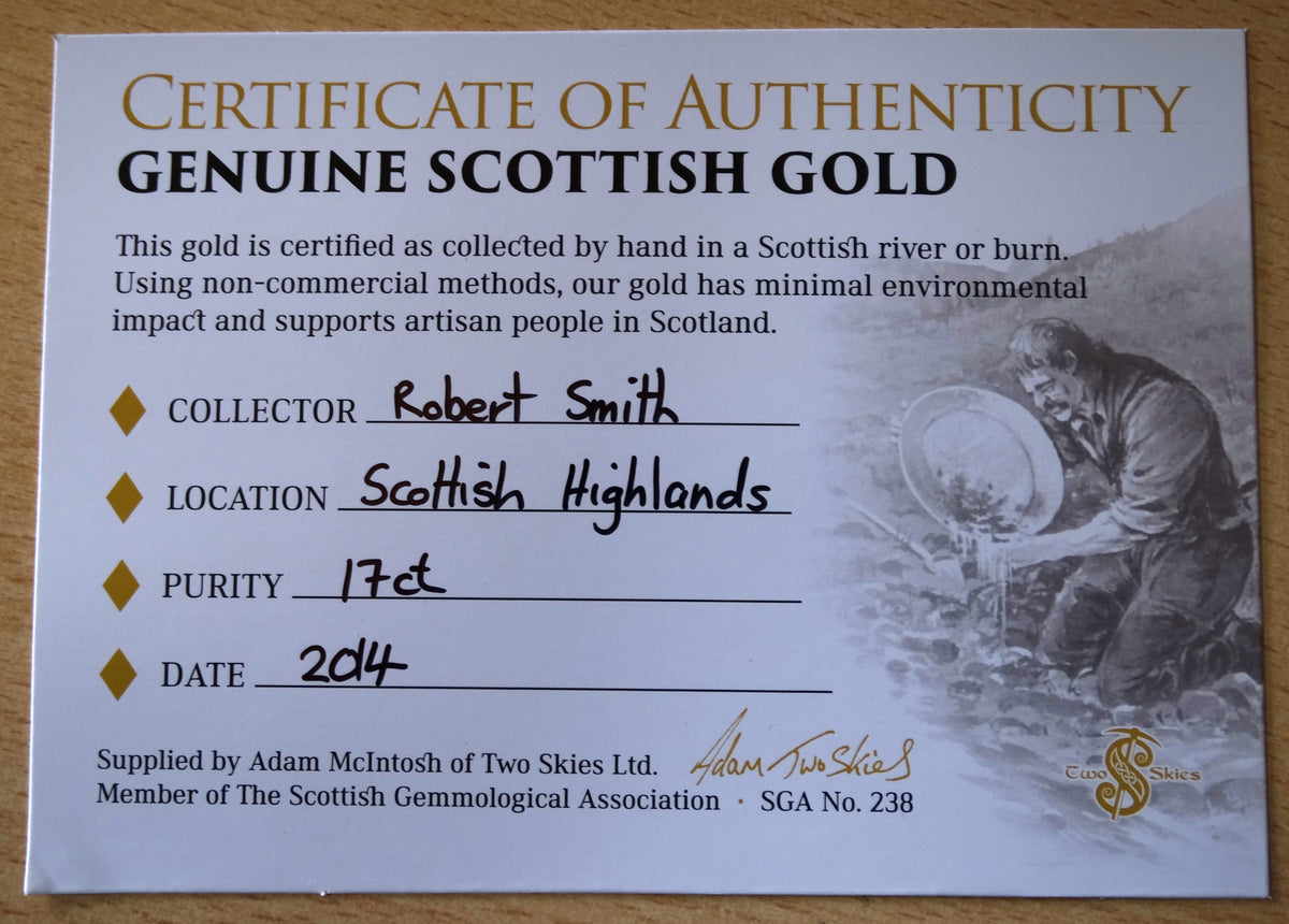 Highlands Scottish Gold Nugget, 2014  -2.033 image 9