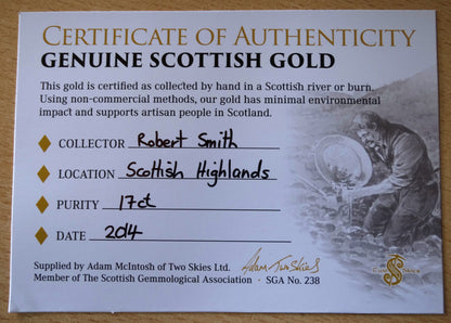 Highlands Scottish Gold Nugget, 2014  -2.033 image 9