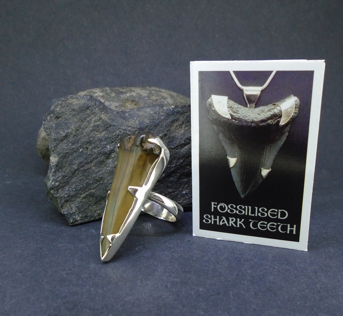 Fossilised Shark Tooth Sterling Silver Ring image 6