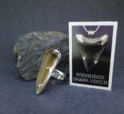 Fossilised Shark Tooth Sterling Silver Ring image 6