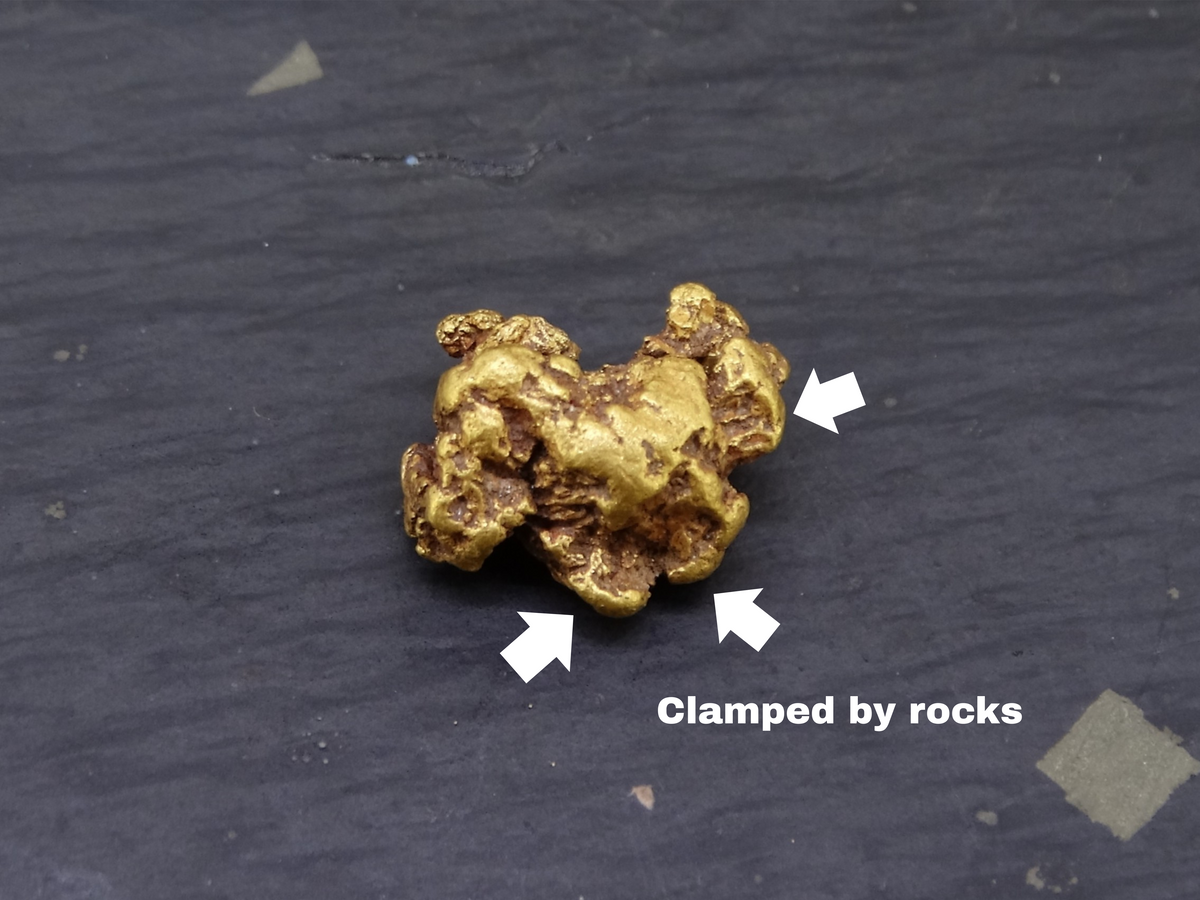 Highlands Scottish Gold Nugget, 2019  -2.338 image 8