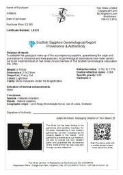 Fancy Trillion Scottish Sapphire, Elie Ruby and Diamond Pendant image 6
