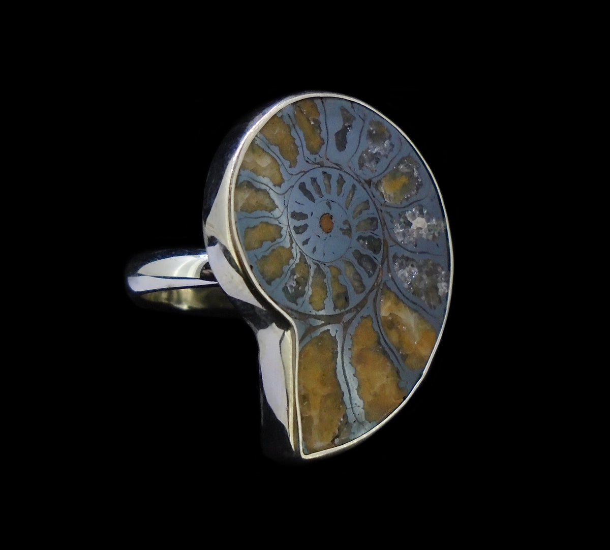 Rare Haematite Ammonite Sterling Silver Ring image 0