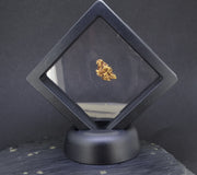 Highlands Scottish Gold Nugget, 2014  -2.033 image 10