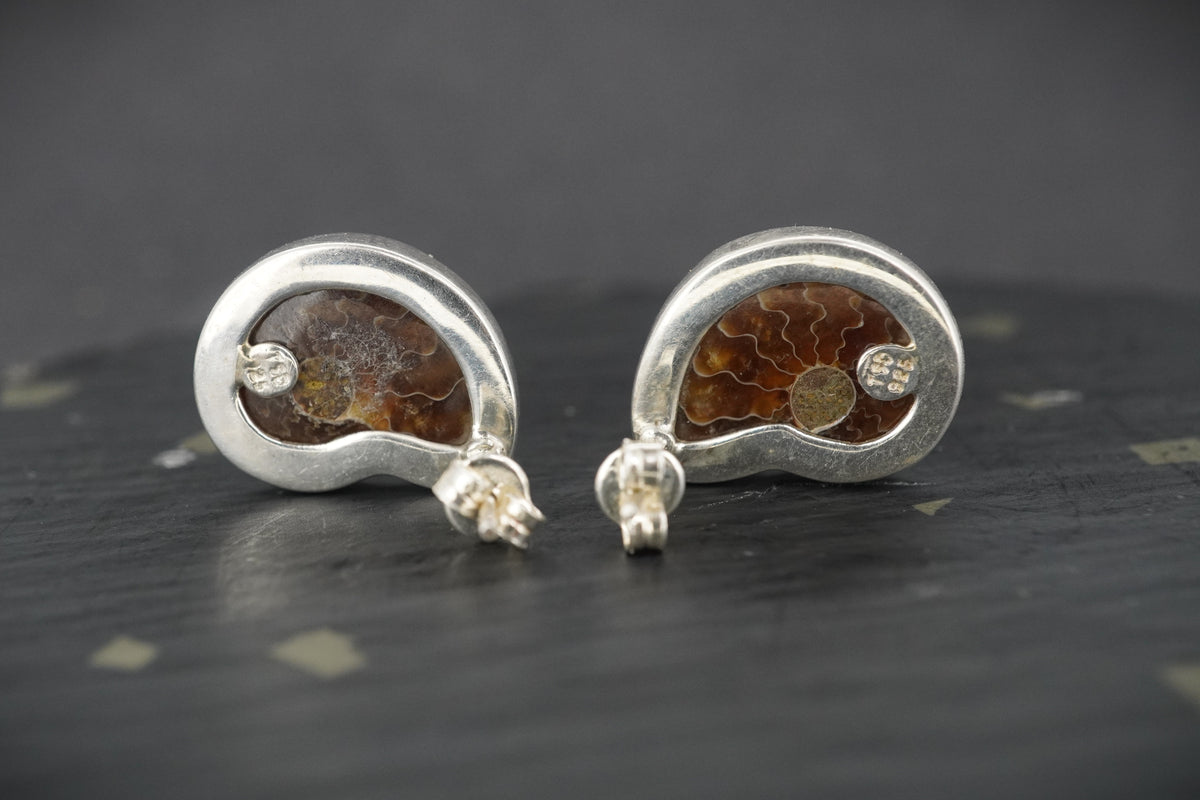 Ammonite Sterling Silver Drop Earrings image 3