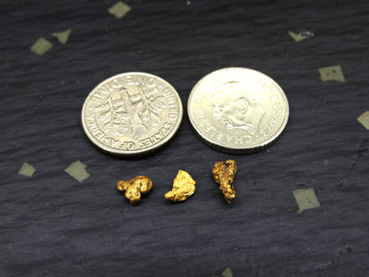 Scottish Highlands Gold Large 'Picker' Nuggets, 2015 - 0.7g image 6