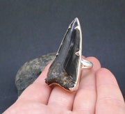Fossilised Shark Tooth Sterling Silver Ring image 6