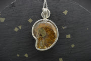 Honey Calcite Ammonite Sterling Silver Pendant image 4