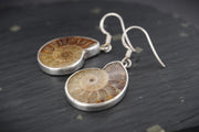 Ammonite Sterling Silver Drop Earrings image 2